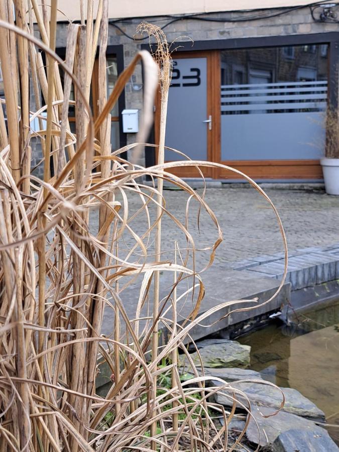Le 23 - La Roche-En-Ardenne Leilighet Eksteriør bilde